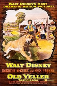 Old Yeller (1957) เพือนแท้คู่ชีวิต