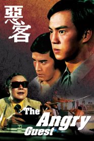 ไอ้หนุ่มหมัดคอนกรีต (1972) The Angry Guest