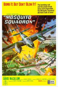 ฝูงบินเพชฌฆาต (1969) Mosquito Squadron