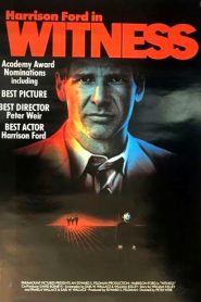 ผมเห็นเขาฆ่า (1985) Witness