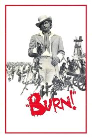 เกียรติยศสงครามเลือด (1969) Burn!