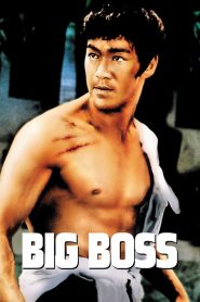 ไอ้หนุ่มซินตึ้ง (1971) The Big Boss