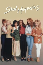 สานดวงใจดอกไม้เหล็ก (1989) Steel Magnolias