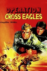 ยุทธการกางเขนมรณะ (1968) Operation Cross Eagles