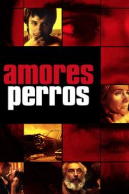 เกมพันธุ์โหด คนพันธุ์ดุ (2000) Amores perros