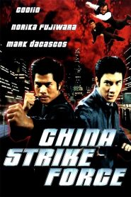 เหิรเกินนรก (2000) China Strike Force