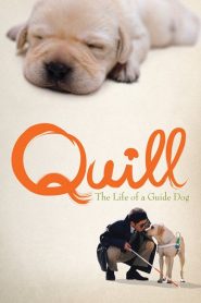 โฮ่ง(ฮับ) เจ้าตัวเนี๊ยซี้ 100% (2004) Quill: The Life of a Guide Dog