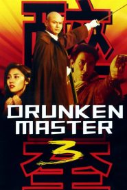 ไอ้หนุ่มหมัดเมา 3 (1994) Drunken Master III