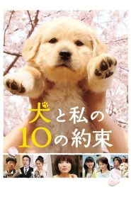 10 ข้อสัญญาน้องหมาของฉัน (2008) 10 Promises to My Dog