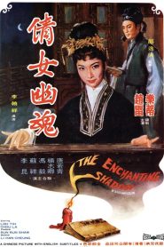 วิญญาณรักปีศาจสาว (1960) The Enchanting Shadow : Shaw Brothers