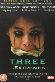 Three Extremes (2004) อารมณ์ อาถรรพ์ อาฆาต 2