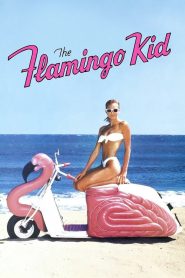 นักฝันมือใหม่ (1984) The Flamingo Kid