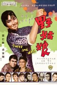 จอมซนคนสวย (1966) Sweet and Wild : Shaw Brothers