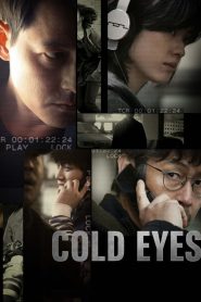 ปฏิบัติการไร้เงา (2013) Cold Eyes