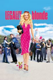 สาวบลอนด์หัวใจดี๊ด๊า (2001) Legally Blonde