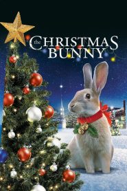 กระต่ายน้อยเพื่อนเลิฟ (2010) The Christmas Bunny
