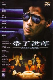 เป็นหรือตาย ไม่เห็นแปลก ก็เพื่อลูกก็เพื่อเธอ (1999) Son on the Run