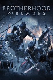 มังกรพยัคฆ์ ล่าสะท้านยุทธภพ (2014) Brotherhood of Blades