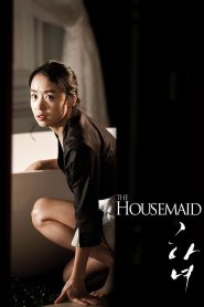 แรงปรารถนา อย่าห้าม (2010) The Housemaid