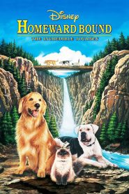 2 หมา 1 แมว ใครจะพรากเราไม่ได้ (1993) Homeward Bound: The Incredible Jouney