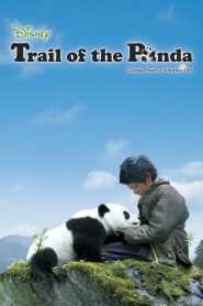 แพนด้าเพื่อนรัก (2009) Trail of The Panda
