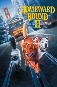 2 หมา 1 แมว ใครจะพรากเราไม่ได้ 2 (1996) Homeward Bound II: Lost in San Francisco