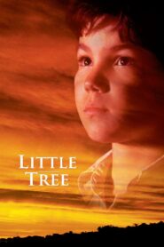 โลกใบใหม่ของลิตเติลทรี (1997) The Education of Little Tree