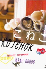 มะเหมียว 4 ขาครับ (1996) The Little Cat