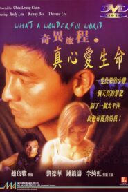 ยึดหัวใจโลกอย่าห้าม (1996) What a Wonderful World