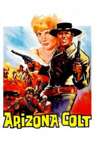 จ้าวสมิงอริโซน่า (1966) Arizona Colt
