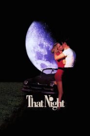 That Night (1992) คืนนั้น