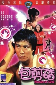 เมโลดี้ออฟเลิฟ (1978) Melody of Love : Shaw Brothers