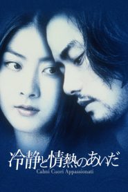Between Calm and Passion (2001) มิอาจลืมรัก